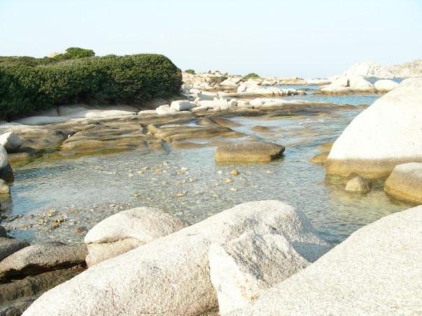 Gente Di Mare - Case Vacanza Santa Teresa Gallura Eksteriør bilde